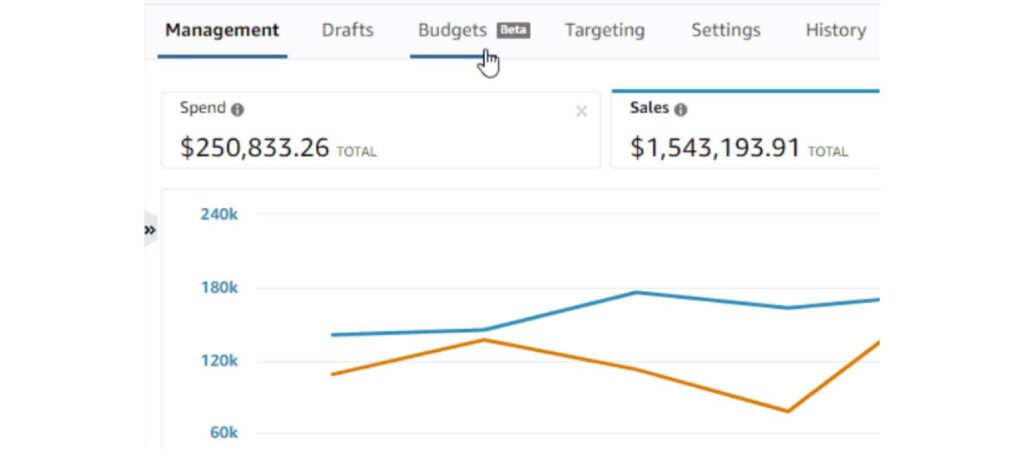 set the daily budget on DSP ads