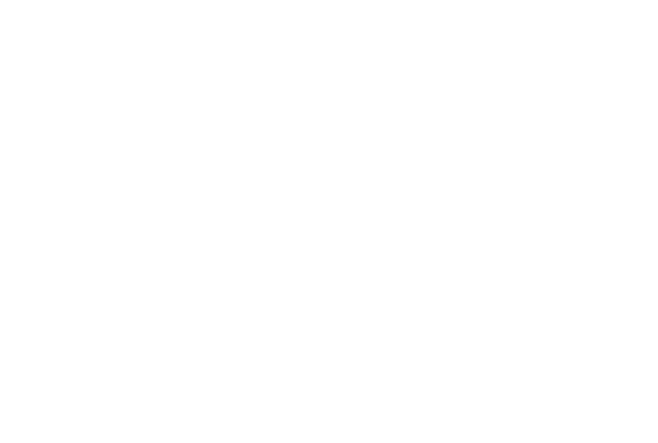 Arena